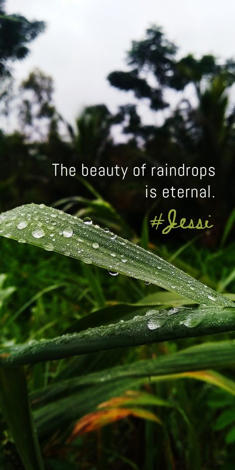 Barish Caption, Nature Photography Captions, Nature Aesthetic Captions, Nature Aesthetic Quotes, Nature Quotes Instagram, Creative Nature Photography, Nature Snap, Flower Captions For Instagram, Nature Quotes Beautiful