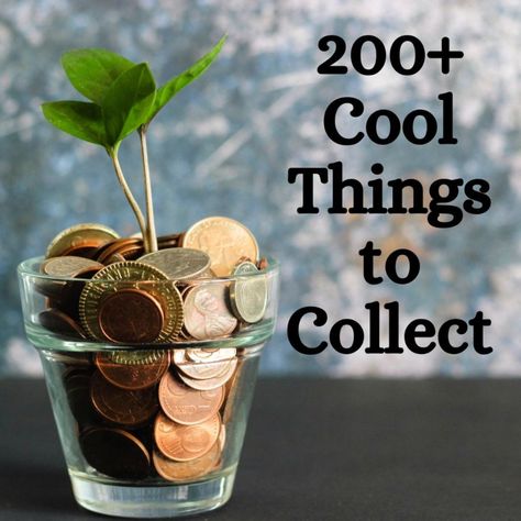 Almost anything can be collected, so if you're looking to get into collecting as a hobby, then look no further than this article for some good collecting ideas. Cool Things To Collect, Things To Collect, Toy Collection Display, Finding A New Hobby, Signature Ideas, Sale Flyer, Cool Things, Pampered Chef, Room Ideas Bedroom