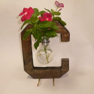 Personalized bulb vases Light Bulb Vase, Brass Rod, Bulb Vase, White Pine, Wooden Stand, Wood Board, Picture Light, Floating Shelves, Light Bulb