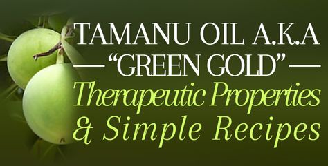 “Green Gold” – Therapeutic Properties  Simple Recipes for Tamanu Oil Tamanu Oil Recipes, Tamanu Oil Benefits Skin Care, Tamanu Oil Benefits, Body Oil Recipe, Thyme Essential Oil, Tamanu Oil, Diy Skin Care Recipes, Essential Oils For Skin, Chamomile Essential Oil