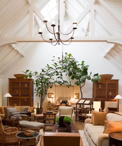 Rose Tarlow Interiors, Costal Interior Design, Portugal House, Rose Tarlow Melrose House, Rose Tarlow, Melrose Avenue, Indoor Trees, Melrose Place, Country Houses