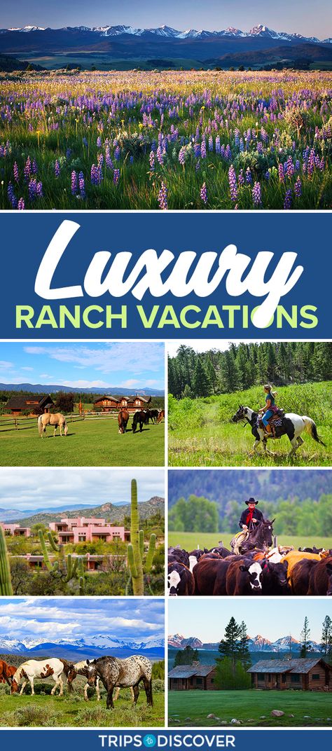 Glamping Tips, Vacation Destinations Couples, Dude Ranch Vacation, Dude Ranch Vacations, Ranch Vacation, Luxury Ranch, Family Ranch, Beautiful Countryside, Hiking Essentials