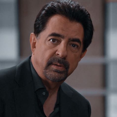 David Rossi Icons, David Rossi, Italian Stallion, Joe Mantegna, Aaron Hotchner, Crimal Minds, Husband Material, Book Writing Tips, Ncis