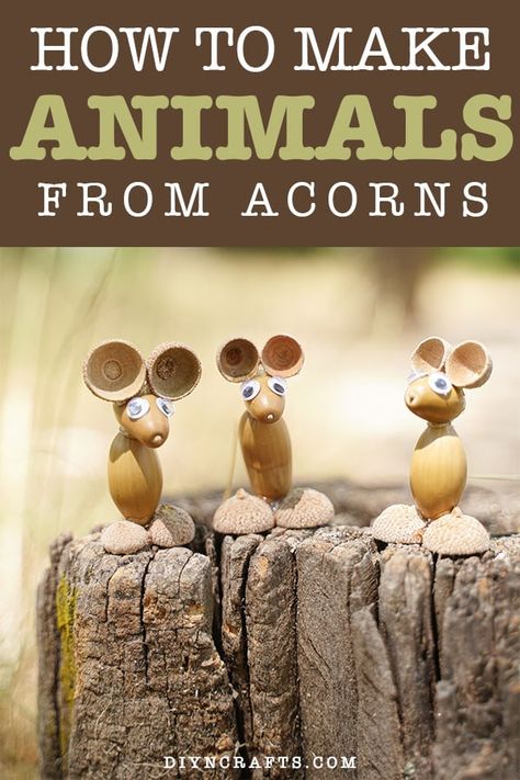 Fall Crafts Acorns, Halloween Acorn Crafts, Crafts With Acorn Tops, Waldorf Nature Crafts, Acorn Diy Crafts, Acorn People Craft, Diy With Acorns, Easy Mouse Craft, Acorn Kids Crafts