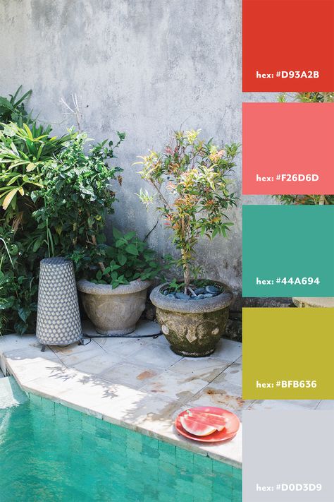 Coral and green color palette from an photograph Aqua Palette, Coral Colour Palette, Coral And Green, Green Color Palette, Paint Inspiration, Branding Resources, Green Colour Palette, Living Room Decor Cozy, Shoe Inspiration