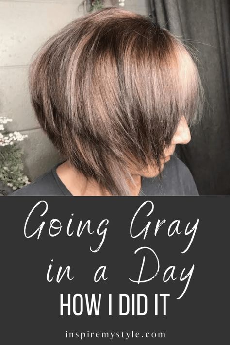 Going gray. How I did it in a day, with before/after photos. There are choices for how to go gray, and I chose a color remover with some highlights and toner. Amazing transformation and I love it! #goinggray #beforeafter #greyhair #withhighlights #naturally #midlifeinspirations Modern Grey Hair Colour, Best Way To Go Gray Naturally, Color Remover Hair Before And After, Going Grey Transition Tips Silver Highlights, How To Go Gray After Coloring Hair, Graying Hair Highlights Aging Gracefully, Going Grey Transition, How To Go Gray, Grey Transition