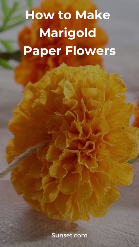 Cricut Marigold Flowers, Diy Marigold Flowers Tissue Paper, How To Make Paper Marigolds, Crepe Paper Marigold Flowers, Marigold Birthday Party, How To Make Paper Marigold Flowers, Marigold Diy Paper Flowers, Tissue Paper Marigolds Diy, Marigold Paper Flower