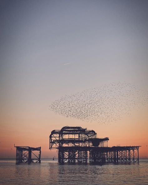 Brighton West Pier, Brighton Photography, Brighton Pier, James Bay, Listed Building, Look Here, Photography Inspo, How Beautiful, Aesthetic Photo