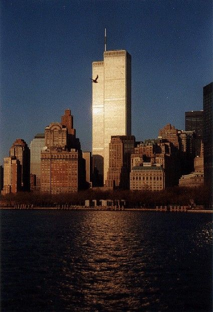 NYC. Golden brightness...I will never forget the morning I spent taking pictures from atop the twin towers! Twin Towers Collapse, World Trade Center Nyc, The Twin Towers, Nyc History, Sea Wallpaper, Nyc Aesthetic, New York Aesthetic, Ways To Make Money Online, Trade Centre