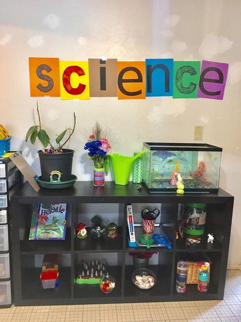 Discovery Preschool Classroom, Science Center Wall Decor Preschool, Daycare Science Center Ideas, Preschool Cubby Decorating Ideas, Monissory Classroom, Preschool Science Center Setup, Korean Preschool Classroom, Home Living Area Preschool, Science Area Preschool Classroom Center Ideas