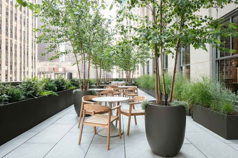 Manhattan Roof Garden VIII — K. Hoyt Architecture/Landscape Commercial Terrace Design, Green Wall Garden, Commercial Planters, Roof Garden Design, Large Outdoor Planters, Custom Planters, Fiberglass Planters, Sloped Garden, Rockefeller Center