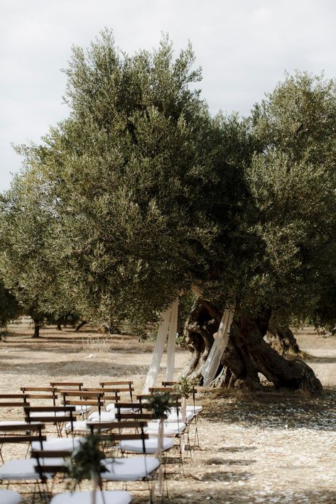 Wedding Nature, Destination Wedding Italy, Olive Grove, Wedding Ceremony Backdrop, Sustainable Wedding, Wedding Ceremony Flowers, The Lane, Tuscany Wedding, Wedding Mood Board