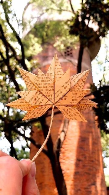 Fall Origami, Leaf Origami, Origami Leaf, Window Stars, Origami Leaves, Leaf Bookmark, Air Clay, Artsy Ideas, Nature Camping