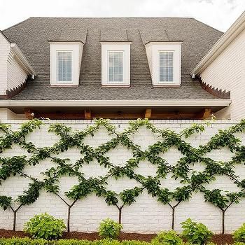 White Brick Home with Gray Shingles - Transitional - Home Exterior - Ralph Lauren Wash Basin Transitional Home Exterior, Backyard Playhouse, Home Bunch, Garden Vines, Privacy Walls, Walled Garden, Backyard Lighting, Neutral Interiors, Climbing Vines