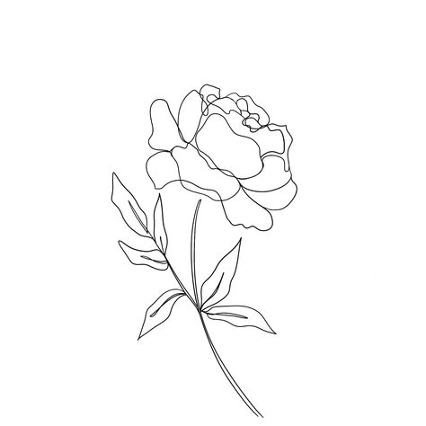 Peony Flower Line Art, Peonies Line Drawing, Peony One Line Drawing, Peony Line Art Tattoo, Peonies Line Art, Peony Line Tattoo, One Line Peony, Peony Tattoo Simple, Carnation Line Art