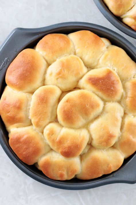 Better than Sister Schubert's Parker House rolls, these buttery rolls are easy to make and the perfect addition to any dinner! Easy Parker House Rolls, Copycat Sister Schubert Rolls, Butter Horn Rolls, Recipes With Sister Schubert Rolls, Easy Parker House Rolls Recipe, Homemade Parker House Rolls, Small Batch Parker House Rolls, Sister Shuberts Rolls Recipe, Parkerhouse Rolls Recipes