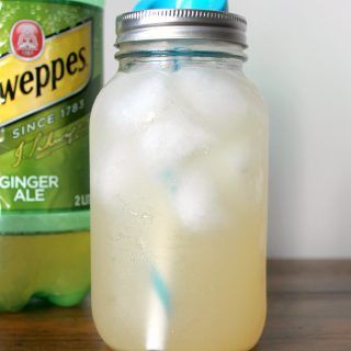 This Ginger Ale GGMS tastes very similar to the popular, sugar-laden bottled soda, and is a Trim Healthy Mama-friendly all-day sipper! Good Girl Moonshine, Trim Healthy Mama Drinks, Amazing Smoothie Recipes, Apricot Smoothie, Trim Healthy Recipes, Trim Healthy Mama Plan, Trim Healthy Momma, Cheap Clean Eating, Trim Healthy Mama Recipes