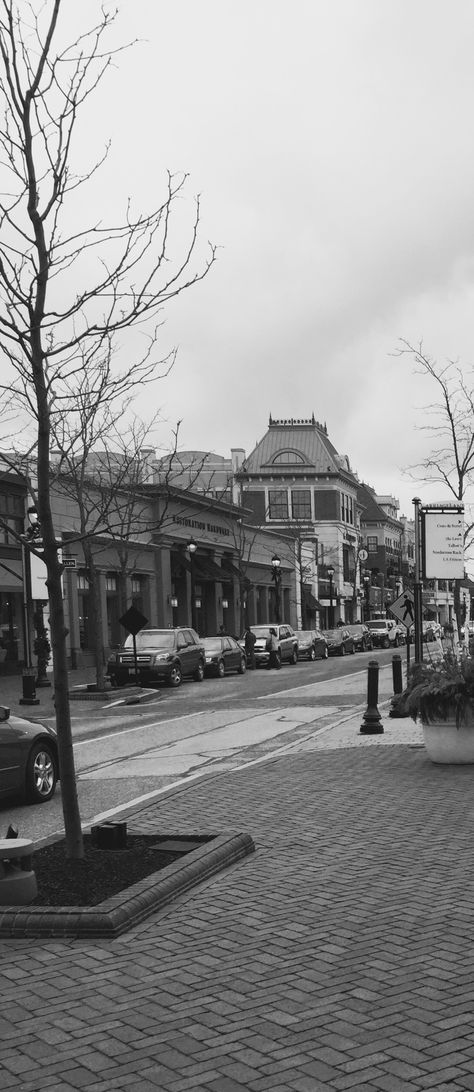 Local Area, Lake House, Ohio, Street View, Travel