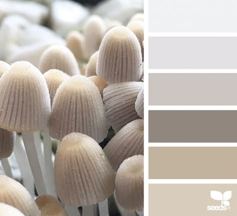 Nature Tones Mushroom Colour Palette, Mushroom Color Palette, Design Seeds Color Palette, Seeds Color Palette, Color Palette For Home, Mushroom Color, Seeds Color, Casa Clean, Autumn Tones