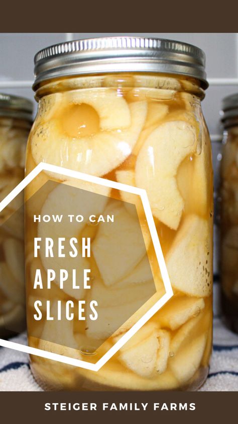 Can You Freeze Sliced Apples, How To Save Fresh Apples, Canning Sliced Apples, Canned Stewed Apples, Canning Apples Slices, How To Can Apple Slices, Canned Apple Slices Recipes, Canning Spiced Apple Slices, Different Ways To Can Apples