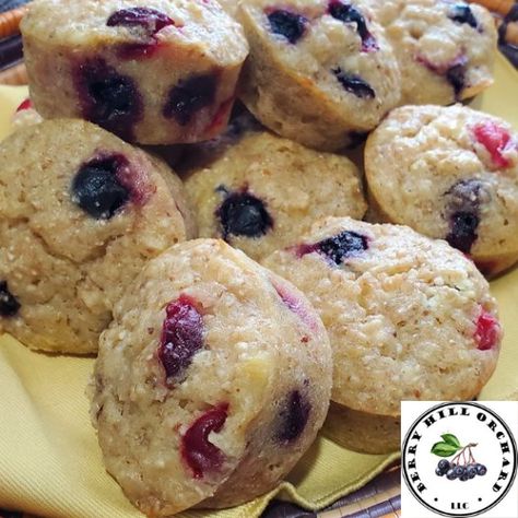 Banana Aronia Muffins from Berry Hill Orchard LLC Aronia Berry Muffins, Aronia Berry Recipes, Brine For Chicken, Berry Pie Filling, Aronia Berry, Foods For Breakfast, Healthy Harvest, Banana Buttermilk, Aronia Berries