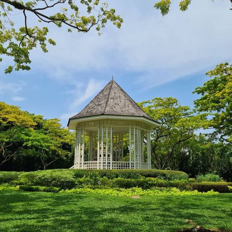 Singapore Botanic Gardens, Orchard Garden, Shopping District, Botanic Gardens, Tropical Garden, Types Of Plants, Unesco World Heritage Site, Unesco World Heritage, Heritage Site