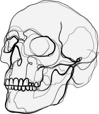 Skull minimalist drawing sketch Skull Outline Drawing Simple, One Line Skull Drawing, Skull Line Drawing Simple, Skull Line Tattoo, Small Skull Drawing, Minimal Skull Tattoo, Minimalist Skull Tattoo, Skull Outline Drawing, Skull Line Drawing