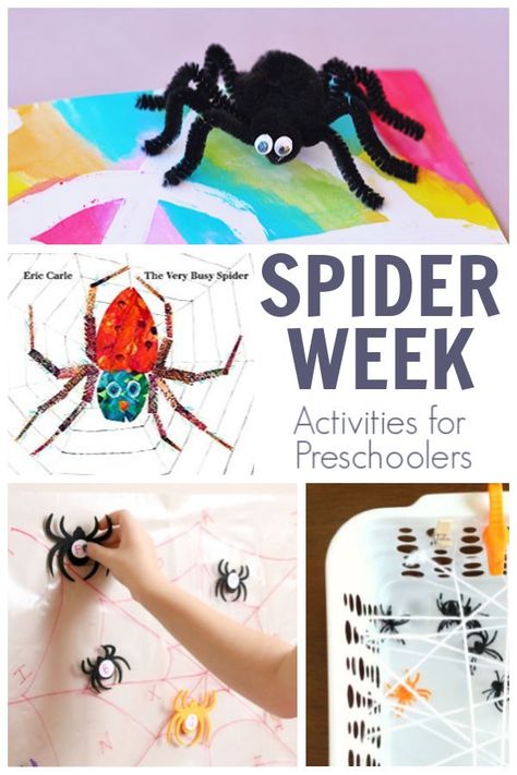 Great week of fun, simple and easy preschool activities for Spider Week to do at home with your preschooler and older toddler.Featuring The Very Busy Spider by Eric Carle from the Virtual Book Club for Kids.Don't forget to Join! So you can get other weekly activities straight to your inbox.#spiderweek #preschoolactivities #vbcforkids The Very Busy Spider Preschool, Spider Lesson Plans For Preschool, Spider Theme Preschool, Spider Crafts Preschool, Spider Math Activities, Spider Unit Study, Halloween Paper Decorations, Spiders Preschool, Bats Activities