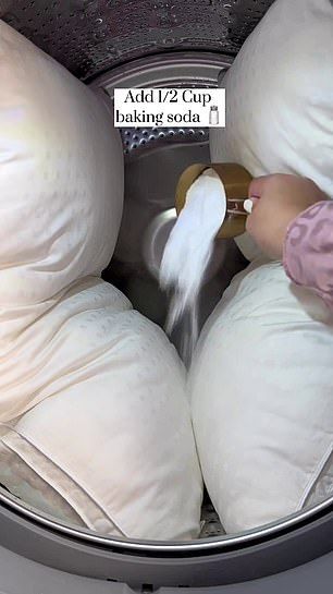 Carolina McCauley: Mum's 'secret formula' for washing pillows How To Wash Throw Pillows, Washing Pillows, Wash Feather Pillows, Wash Pillows, Global Textiles, Health Signs, Vinyl Decor, Organization Decor, Feather Pillows