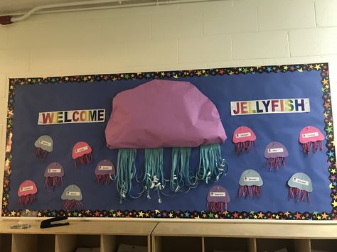 Jellyfish 3D look for Bulletin board Jellyfish Bulletin Board, Jellyfish Classroom Theme, Jellyfish Classroom Decor, Octopus Classroom Door, Aquatic Bulletin Boards, Ocean Theme Preschool Classroom Bulletin Boards Under The Sea, Fish Bulletin Boards, Pto Board, Prek Classroom