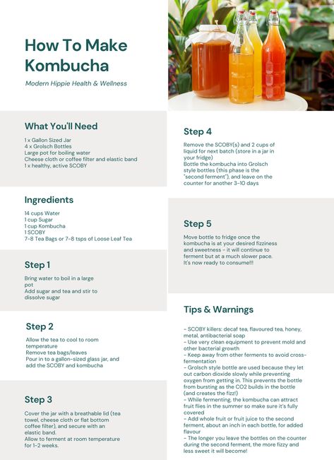 How to Make Kombucha (Easy Step-by-Step Recipe) — Modern Hippie Inc. How To Make A Scoby, How To Make Kombucha Step By Step, How To Make Kombucha, Hibiscus Kombucha, Mead Making, Diy Kombucha, Kombucha Drink, Make Kombucha, Kombucha Benefits