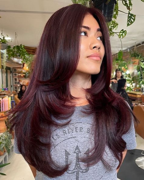 Long Dark Burgundy Butterfly Cut Burgundy Hair Colors, Dark Maroon Hair, Burgundy Hair With Highlights, Deep Burgundy Hair, Pelo Color Vino, Dark Burgundy Hair, Burgundy Hair Dye, Black Cherry Hair, Cherry Hair Colors