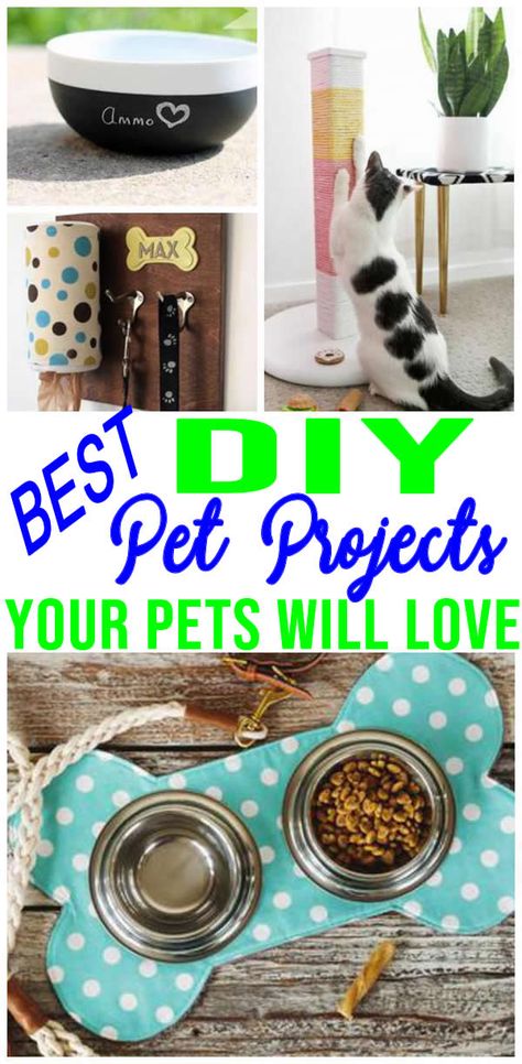 Pet Things To Make And Sell, Pet Crafts To Make And Sell, Dog Stuff To Make And Sell, Diy Dog Toys To Sell, Dog Crafts To Sell Easy Diy, Crafts For Pets To Sell, Pet Projects Diy, Diy Stuff For Dogs, Diy Pet Crafts To Sell