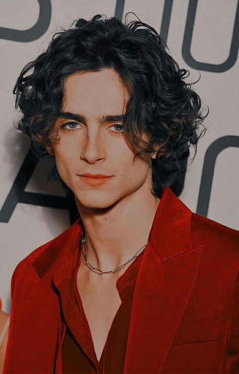 Timothée Chalamet Become Best Version Of Yourself, Chalamet Timothee, Regulus Acturus Black, Kpop News, Timmy T, Best Version Of Yourself, Most Handsome Men, Hot Actors, Timothee Chalamet