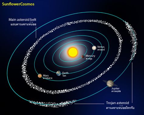 Belt Drawing, Solar System Pictures, Solar System Facts, Comets And Asteroids, Oort Cloud, Kuiper Belt, Asteroid Belt, Secret Space, Historia Universal