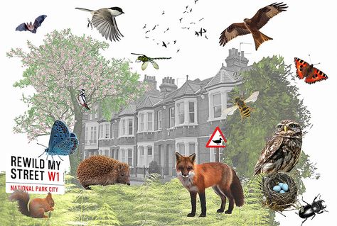 Transforming London's Streets for Wildlife | Rewild My Street London Metropolitan University, Going Grey, Streets Of London, Floor Murals, Urban Nature, Green City, Research Methods, Green Park, Urban Environment