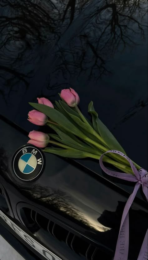 Bmw Iphone Wallpaper, Serie Bmw, Dream Cars Bmw, Bmw Wallpapers, Strap Maxi Dress, Bmw Love, Bmw Z3, Bmw Series, Flower Therapy