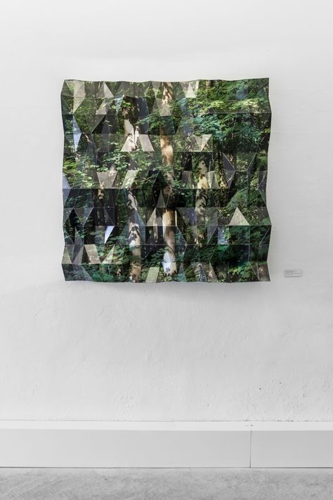 Stefanie Herr's photo sculptures mock the concept of infinite economic growth Photographic Sculpture, Photo Sculpture Photography, Sculptural Photography, Multiples Sculpture, Nature Inspired Art Installation, Plants Art Installation, Ecological Art Installation, Nonrepresentational Sculpture, 3d Photography