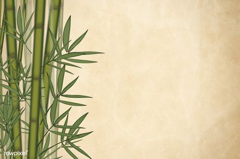 Bamboo leaf elements background illustration | free image by rawpixel.com / wodn2080 Bamboo Image, Bamboo Background, Orchids In Water, Concrete Background, Bamboo Stalks, Bamboo Leaf, Tropical Leaves Pattern, Bamboo Plates, Bamboo Table