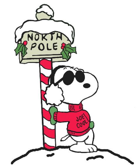 Joe Cool Snoopy Christmas, Snoopy Christmas Pictures, Snoopy Drawing Christmas, Snoopy Christmas Drawing, Snoopy Christmas Coloring Pages, Christmas Cartoon Aesthetic, Snoopy Christmas Aesthetic, Xmas Snoopy, Bugs Bunny Christmas