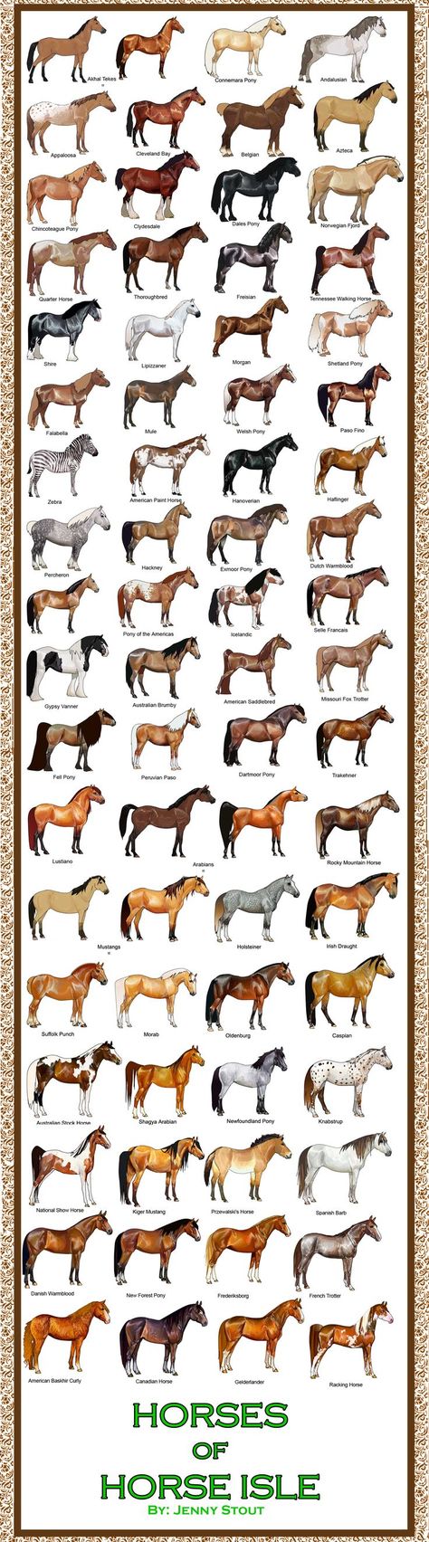 horse breeds with examples | ... come in all shapes and size, Mongolian horses being a smaller breed Mongolian Horses, Cai Arabi, Ahal Teke, Horse Facts, Horse Anatomy, Horse Tips, All About Horses, Horse Health, Horse Quotes