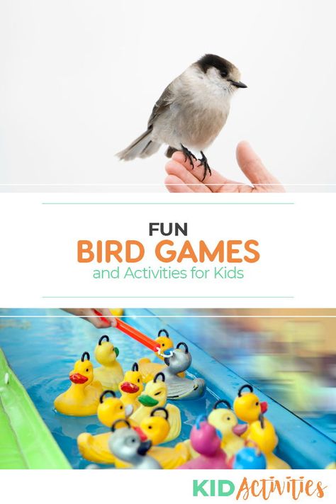 A collection of fun bird themed games and activities. Great for teaching kids about birds in the classroom or at home. #KidActivities #KidGames #ActivitiesForKids #FunForKids #IdeasForKids Bird Games Preschool, Bird Stem Activities, Bird Watching Activities For Kids, Bird Science Activities Preschool, Bird Games For Kids, Bird Toddler Activities, Preschool Bird Activities, Bird Birthday Theme, Bird Themed Activities