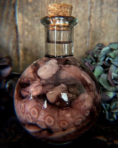 Haunted Attic, Halloween Potion Bottles, Wet Specimen, Black Magick, Mannequin Art, Halloween Potions, Octopus Tentacles, Vulture Culture, Mermaid Aesthetic