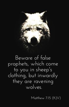 wolf Beware Of False Prophets Quotes, False Prophets Bible Verse, Beware Of False Prophets, Alistair Begg, Prophet Quotes, Raven And Wolf, Social Media Website, Sheep Clothing, Bible Verses About Faith