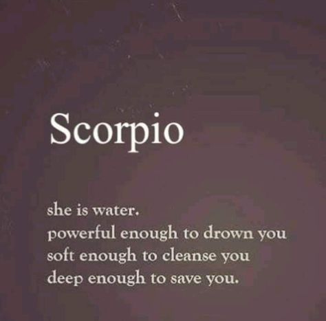 Astrology, Scorpio Ascendant, Planet Signs, Scorpio Quotes, Scorpio Zodiac, Zodiac Horoscope, Scorpion, Save Yourself, Follow Me