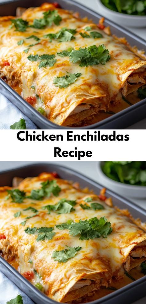 Searching for dinner ideas easy? Make these Chicken Enchiladas! A tasty dinner recipe for family meals or dinner for two recipes. Enjoy this simple, flavorful dinner idea that’s sure to please everyone. Simple Chicken Enchiladas, Tasty Easy Dinners, Family Mexican Dinner Ideas, Mexican Enchiladas Chicken, New Chicken Dinner Ideas, Chicken Enchiladas Recipes Easy, Mexican Dinner Recipes For Family, Enchalidas Recipes, Chicken Enchiladas Authentic