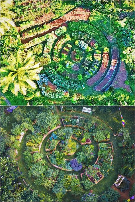 25 best vegetable garden design ideas & easy layout plans for beginners & pros to grow your own food in a front or backyard edible landscape. - A Piece of Rainbow, kitchen garden, vegetable gardening ideas, small space tips, grow your own food, herbs, homestead, homesteading, spring, summer, raised beds, trellis, greenhouse, DIY Food Forest Design, Vegetable Garden Design Ideas, Food Forest Garden, Garden Bed Layout, Edible Landscape, Backyard Garden Layout, Small Vegetable Gardens, Vegetable Garden Planning, Permaculture Gardening