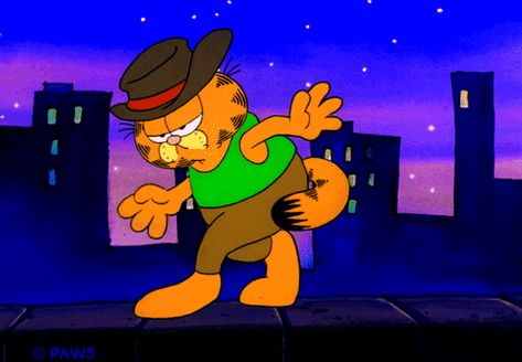 Jon Garfield, Cat Cool, Orange Hat, Cat Gif, Black Orange, Gif, Orange, Twitter, Black