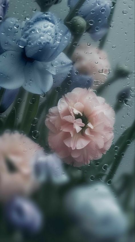 Garage Door Ideas, Wet Flowers, Aesthetic Wallpapers Iphone, Floral Wallpaper Iphone, Vintage Flowers Wallpaper, Flowers Photography Wallpaper, Flowery Wallpaper, Pretty Phone Wallpaper, Flower Iphone Wallpaper