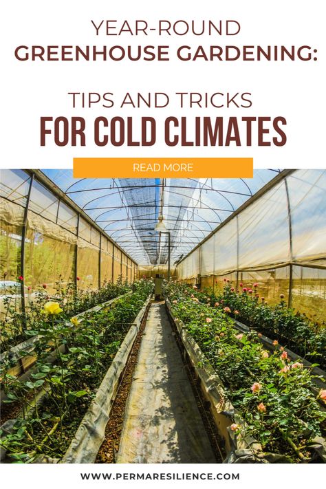 Greenhouses For Cold Climates, Greenhouse In Michigan, Year Round Greenhouse Canada, Greenhouse For Cold Climates, Cold Climate Greenhouse, Inground Greenhouse, Canadian Greenhouse, Starting A Greenhouse, Year Round Greenhouse